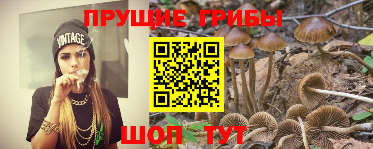 Галлюциногенные грибы мухоморы  Псилоцибиновые грибы мицелий  Белогорск  Вход с VPN 